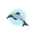 Hector's Dolphin Sightings