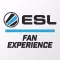 ESL FAN EXPERIENCE