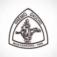 Clube Gremio Gaucho