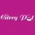 Curry Pot Indian ltd