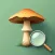 Mushroom Identifier - AI Guide