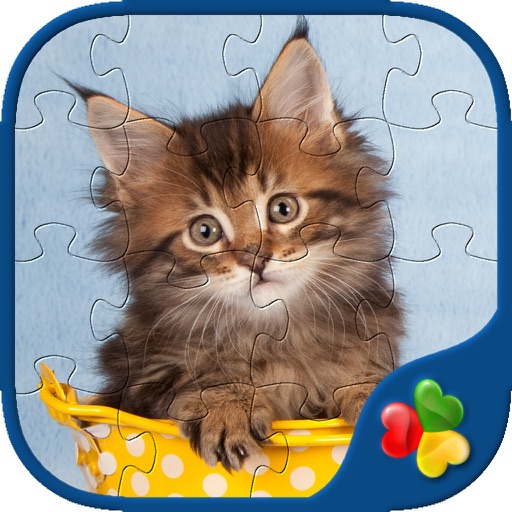 Cute Cats - Real Cat and Kitten Picture Jigsaw Puzzles Games for Kids Cute Cats - Real Cat and Kitten Picture Jigsaw Puzzles Games for Kids