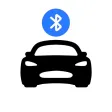 TSLA Keyfob - for Watch, Phone