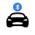 TSLA Keyfob - for Watch, Phone