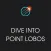 Xplore: Dive into Point Lobos