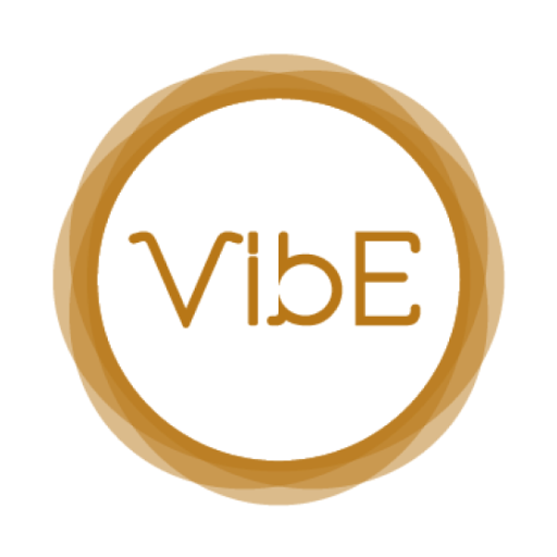VIBE PILATES & FITNESS VIBE PILATES & FITNESS