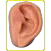 Tinnitus Perú