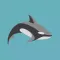 Tiny Orca