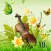 violin_music