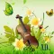 violin_music