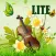 violin music(lite)