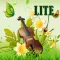 violin music(lite)