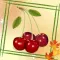 Fruits - Titan Memory Match Game