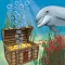 Dolphins of the Caribbean