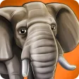 PetWorld: WildLife Africa PetWorld: WildLife Africa