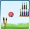 Bottle Shooting Game :Knock it