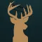 Stag Brag