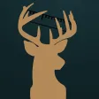 Stag Brag Stag Brag