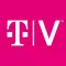 TVision