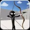 Stickman 3D Archery