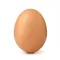 World Record Egg Breaker