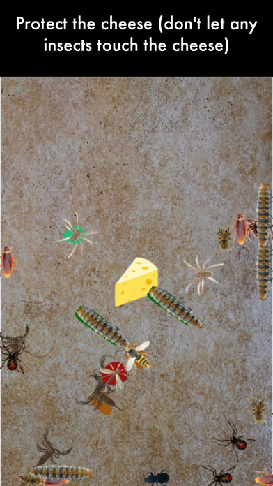 Bug Plague - Play on Watch Screenshots