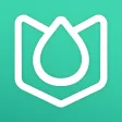 droplii