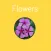 Flowers Flashcard for babies and preschool