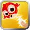 Amazing Little Birds