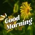 Good Morning Wishes 2024