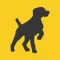 Spaniel