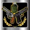 100's of Weapon Sounds Pro