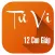 Tu vi 12 con giap