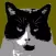 Photocat Viewer for Lightroom