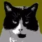 Photocat Viewer for Lightroom