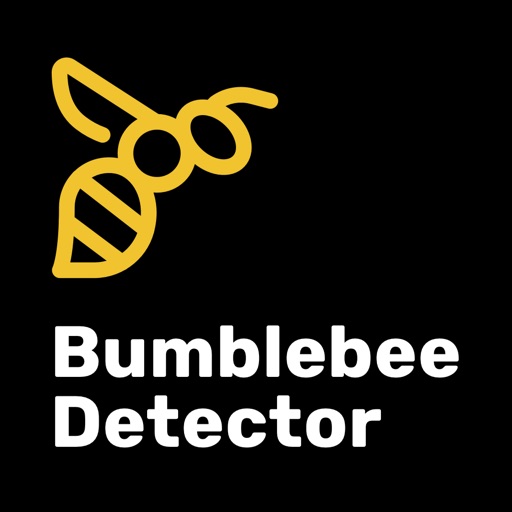 Bumblebee Detector Bumblebee Detector