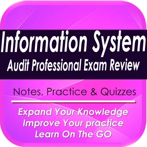 Information System Audit Pro