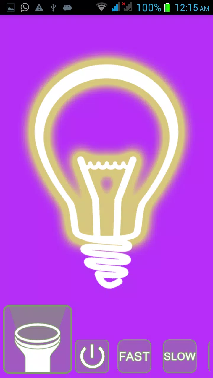Torch + Flashlight + Bulb Screenshots