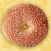Bagel Gourmet