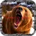 Bear Hunter : The sniper or shotgun elite of 2017