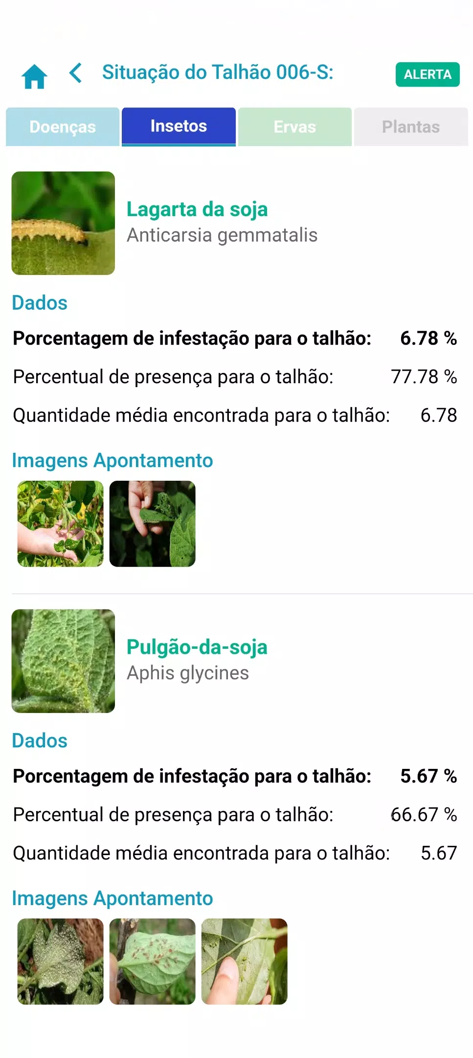 صور Meu Fitossanitário