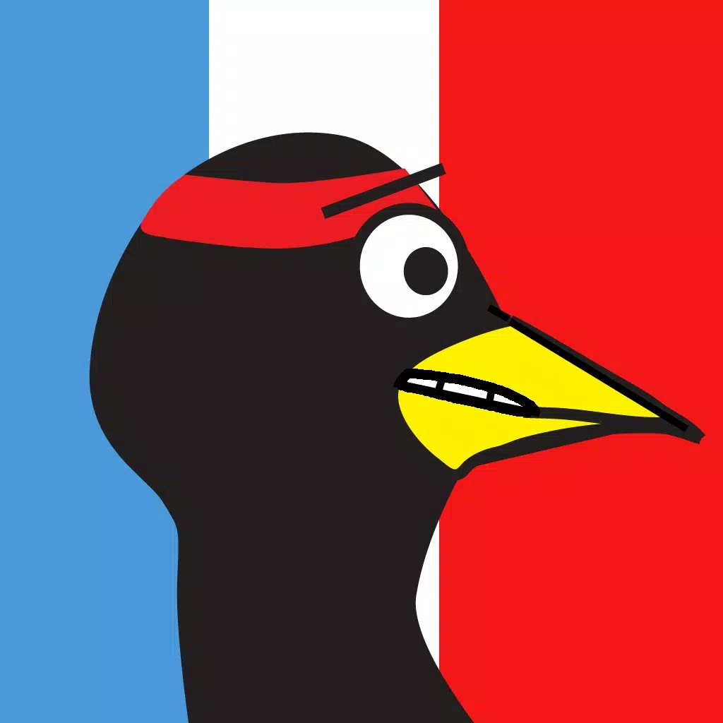Ninja Hen Ninja Hen
