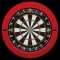 Bulls i Darts: Masters Edition