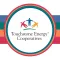 Touchstone Energy Experience