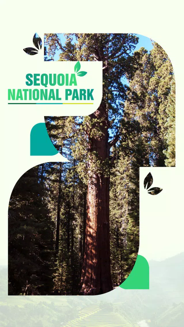 Sequoia National Park Travel Guide Screenshots