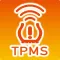 TPMS P418