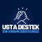 Usta Destek