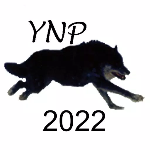 Yellowstone Wolves 2022 Yellowstone Wolves 2022