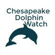 Chesapeake Dolphin Watch
