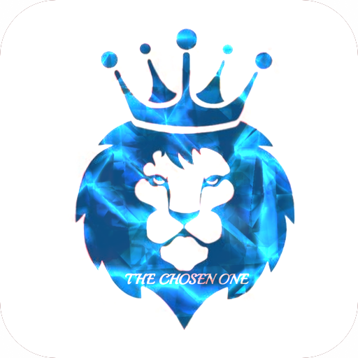 Lions Lifestyle Studio